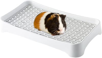 Huisdier Toilet - Kleine Dieren Pan - Hygiënisch Trainen - Lekvrij Ontwerp - 33 x 25 cm - Grijs