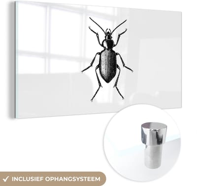 MuchoWow® Glasschilderij 40x20 cm - Schilderij acrylglas - Kever - Dieren - Vintage - Zwart wit - Foto op glas - Schilderijen