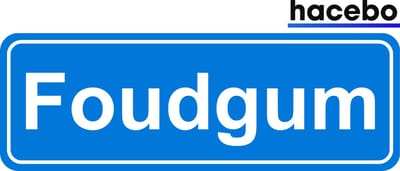 Hacebo - Plaatsnaam Sticker - 29x10 CM - Foudgum sticker - Verkeersborden sticker - grappige cadeaus - Foudgum