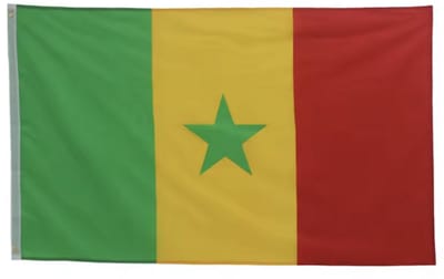 Vlag van Kameroen - Kameroense vlag - Kameroen vlag - 150/90CM - Polyester - Voetbal - WK - CHPN