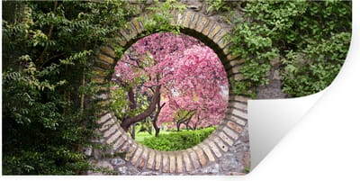 Muurstickers - Sticker Folie - Doorkijk - Sakura - Bloesem - Japans - 40x20 cm - Plakfolie - Muurstickers Kinderkamer - Zelfklevend Behang - Zelfklevend behangpapier - Stickerfolie