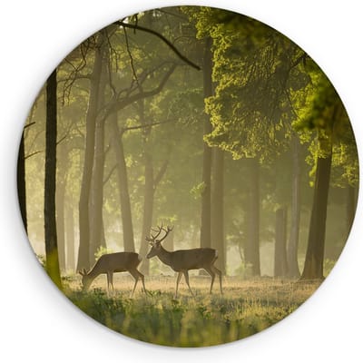 Saammp Muurcirkel Hout - 2 Herten in het bos - Dieren - Landschap - Natuur - Ø 90 - Wandcirkel - Wanddecoratie Cirkel - Muurdecoratie Woonkamer - Slaapkamer decoratie - Rond Schilderij