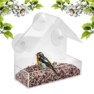 Mangeoire pour oiseaux fenêtre perroquet distributeur de nourriture boîte d'alimentation pour oiseaux mangeoires pour oiseaux en plein air maison acrylique étanche transparent