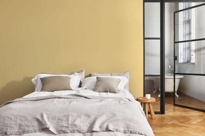 Levis - Expert Muur Binnen Mix - Clear Yellow B50 - Mengverf - 10 L