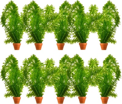 10 Waterpest planten (Elodea densa) - Zuurstofplant voor vijver - Vijverplant - Waterplant - Zorgt voor helder water en vermindert algen - Winterhard en onderhoudsvriendelijk