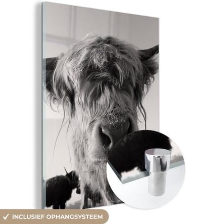 MuchoWow® Glasschilderij 120x160 cm - Schilderij acrylglas - Schotse Hooglander - Zwart - Wit - Dieren - Foto op glas - Schilderijen