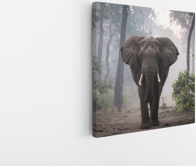 Saammp Canvas Schilderij - Olifant tijdens zonsopgang in het bos - Afrika - Dieren - 20x20 - Foto op canvas - Wanddecoratie - muurdecoratie Woonkamer - Slaapkamer decoratie - Canvas Print