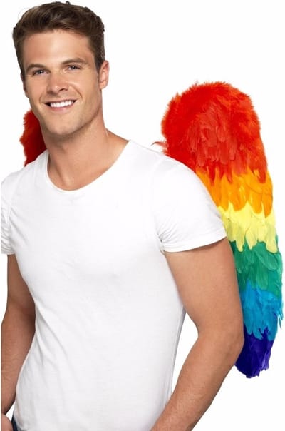 Smiffys Vleugels - 68 cm - regenboog - volwassenen - papagaai - pride/carnaval