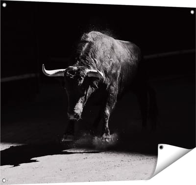 Gards Tuinposter Stier in de Arena - Zwart Wit - 100x80 cm - Tuindoek - Tuindecoratie - Wanddecoratie buiten - Tuinschilderij