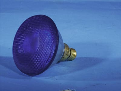 Eurolite Par-38 FL blau Halogeenlamp voor lichteffect 230 V E27 80 W Blauw Dimbaar