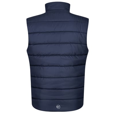 Regatta Heren Navigate Thermisch Gilet (Marine / Frans Blauw)