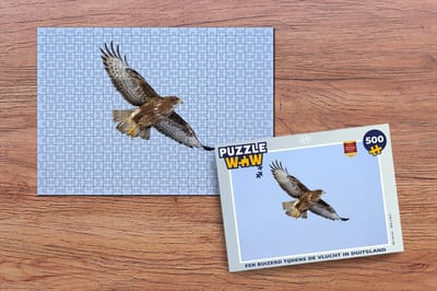 Puzzel Een buizerd tijdens de vlucht in Duitsland - Legpuzzel - Puzzel 500 stukjes