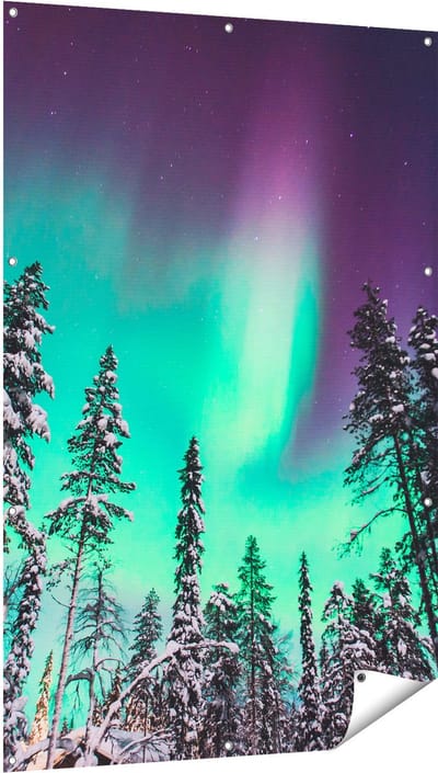 Gards Tuinposter Noorderlicht in de Bossen van Noorwegen - 100x150 cm - Tuindoek - Tuindecoratie - Wanddecoratie buiten - Tuinschilderij
