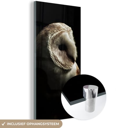 MuchoWow® Glasschilderij 20x40 cm - Schilderij acrylglas - Uil - Vogel - Portret - Foto op glas - Schilderijen