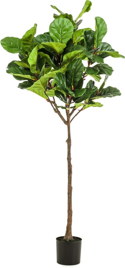 Kunstplant Ficus Lyrata 195 cm