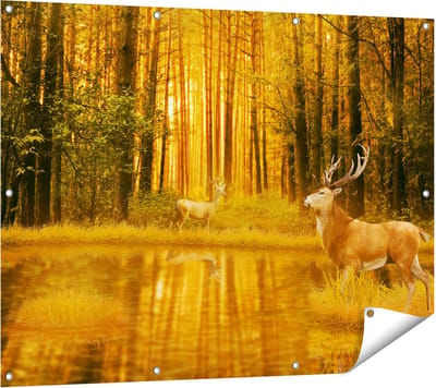 Gards Tuinposter Twee Herten in het Bos bij het Water - 120x90 cm - Tuindoek - Tuindecoratie - Wanddecoratie buiten - Tuinschilderij