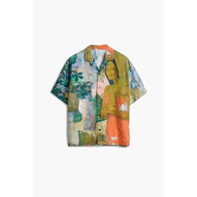 Shirt Desigual Masterpiece