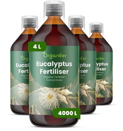 Vloeibare Meststof Voor Eucalyptus - 4X1 L Voor 4000 L - Npk 3-4-3 - Krachtige Groei - Sterke Wortels - Droogteresistentie - Scheutontwikkeling - Bladkleurintensiteit - Hittebestendig - Windbestendig - Aromatische Bladkwaliteit - Organifer