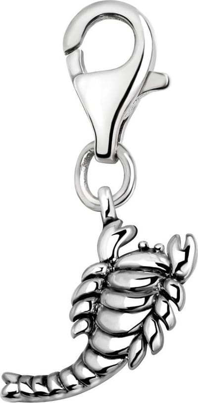 Quiges – Charm – Hanger - 3D Horoscoop Schorpioen - Verzilverd - karabijnslot - geschikt - voor - Bedelarmband - QHC168