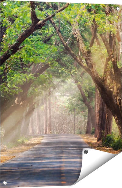 Gards Tuinposter Weg Omringd met Bomen - 60x80 cm - Tuindoek - Tuindecoratie - Wanddecoratie buiten - Tuinschilderij