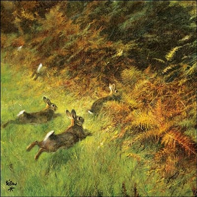 Ambiente - Lunch servetten - Running Rabbits