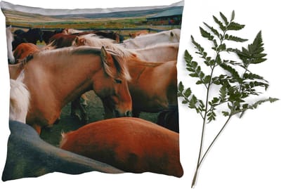 Sierkussens - Kussentjes Woonkamer - 40x40 cm - Paarden - Dieren - Wild