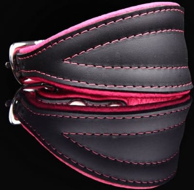 Dog's Companion - Leren halsband greyhound - Lengte: 50cm (41-48cmx70 mm), Kleur: Roze