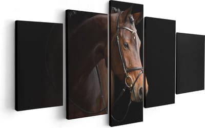Artaza Canvas Schilderij Vijfluik Bruin Paard Op Een Zwart Achtergrond - 100x50 - Foto Op Canvas - Canvas Print