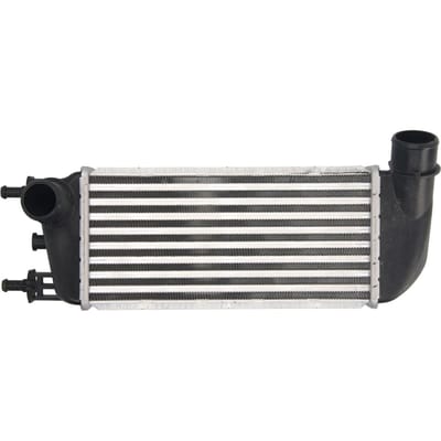 Intercooler THERMOTEC DAF010TT