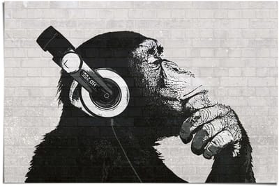 Poster The Chimp Stereo - wall - 61 x 91,5 - Papier - REINDERS