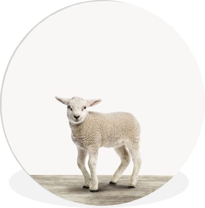 Wandcirkel kinderen - Muurdecoratie - Schaap - Lam - Dieren - Boerderij - Decoratie voor kinderkamers - Kinder decoratie - 30x30 cm - Kunststof