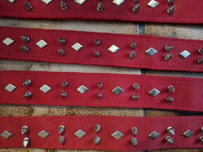 Hamilton Dubbele Dikke Nylon Spiked Bull Dog Collar