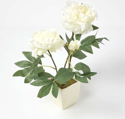 Homescapes kunstbloemen pioenroos in witte pot, crème