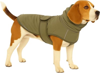 Hondenjas – Flamingo Cujo – honden jas – hondenjasjes winter – hondenjas waterdicht – 40 cm – A:40cm B:48cm C:50-56cm – groen