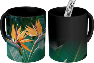 Magische Mok - Foto op Warmte Mokken - Koffiemok - Paradijsvogel - Bloem - Exotisch - Magic Mok - Beker - 350 ML - Theemok