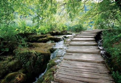 Fotobehang Forest Waterfalls Flow Path | XL - 208cm x 146cm | 130g/m2 Vlies