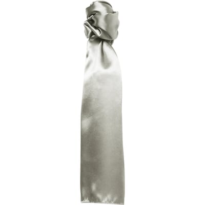 Premier Sjaal - Dames/vrouwen Gewone Zakelijke Sjaal (Zilver)