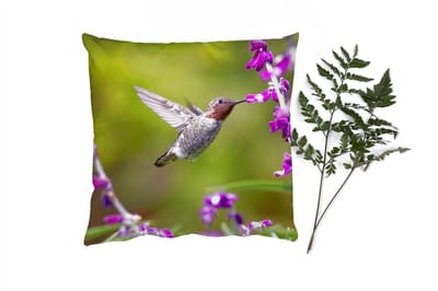 Sierkussens - Kussentjes Woonkamer - 40x40 cm - Kolibrie - Vogel - Bloemen - Natuur