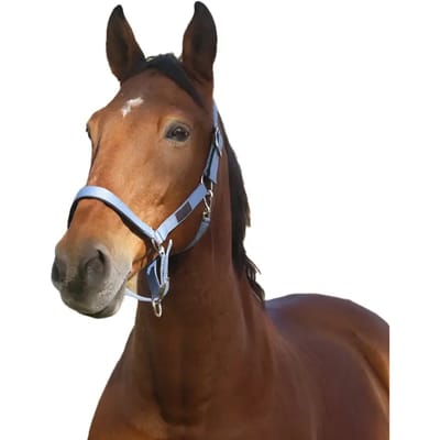Nylon paardenhalster Equithème Spring
