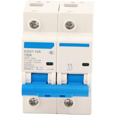 400V 80100125A Lekstroombeveiligingsschakelaar DZ47?125 2P? Stroomonderbreker(100A)