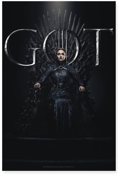 Game Of Thrones Sansa Stark GOT Poster 40x60 cm