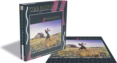 Pink Floyd - A Collection Of Great Dance Songs (1000 puzzelstukjes)
