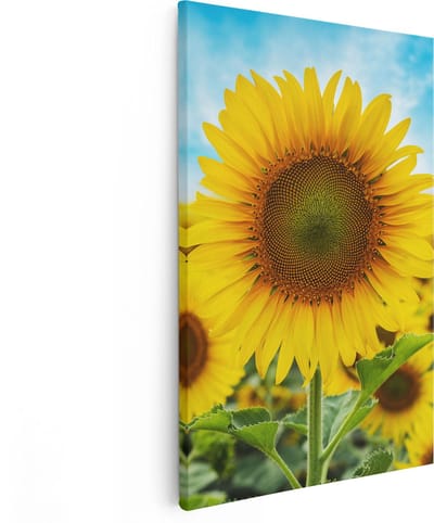 Artaza Canvas Schilderij Zonnebloem - 80x120 cm - Groot - Wanddecoratie Bloemenveld - Muurdecoratie Woonkamer - Decoratie Natuur