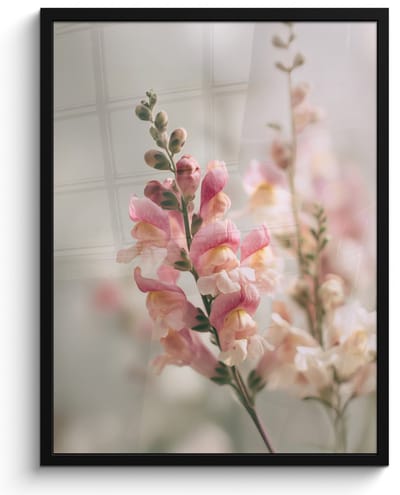 Poster in lijst - Fotolijst 60x80 cm - Posters - Bloem - Leeuwenbek - Roze - Stengel - Posterlijst zwart - Decoratie - Wanddecoratie woonkamer - Muurdecoratie slaapkamer