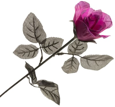 CHAKS - Paarse roos 65 cm