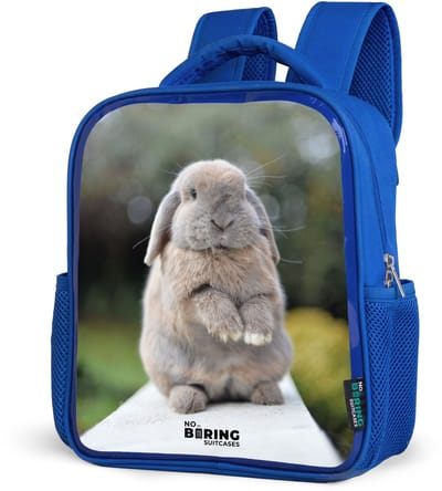 NoBoringSuitcases.com® - Rugzak blauw - Schooltas jongens - Konijn - Dieren - Kinderen - Natuur - Kinder rugtas jongen - Boekentas kind - Kinderrugzak voor school - Schoolrugzak