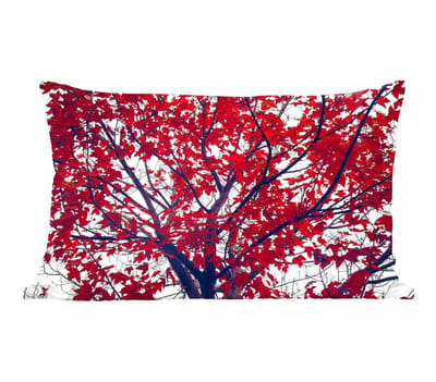 Sierkussens - Kussentjes Woonkamer - 50x30 cm - Esdoorn - Bladeren - Herfst - Natuur