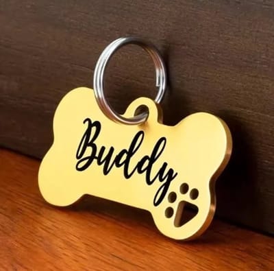 XL Hondenpenning Huisdierpenning Botje - Luxe Hondenpenning inclusief Graveren - voor grote honden - Goudkleurig - Huisdierpenning - Petshop Seven®