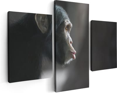 Artaza Canvas Schilderij Drieluik Verbaasde Aap Vanaf De Zijkant - 90x60 - Foto Op Canvas - Canvas Print