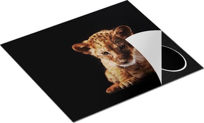 Chefcare Inductie Beschermer Leeuwen Welp op het Zwart - Baby Leeuw - 60x50 cm - Afdekplaat Inductie - Kookplaat Beschermer - Inductie Mat